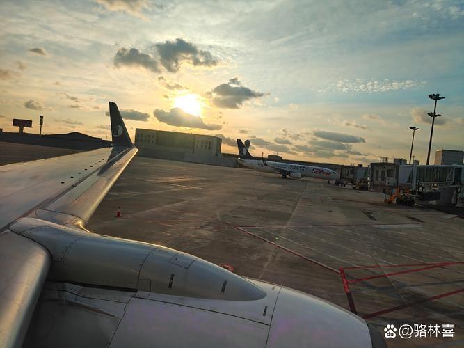山东航空,山航掌尚飞